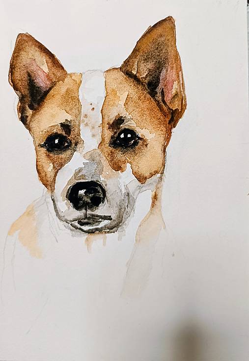 Kresby - miláčika portrét Pampi - 17969009_