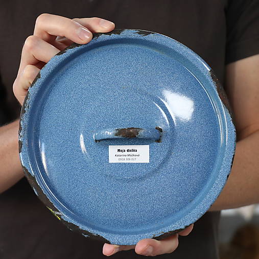 Upcyklovaná ručne maľovaná pokrievka Sliepka