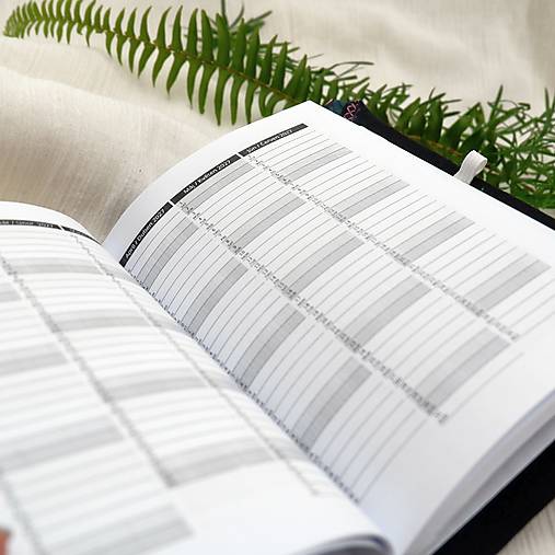 Diár  na rok 2026 TÝŽDENNÝ - A6 - Zelená prúžky