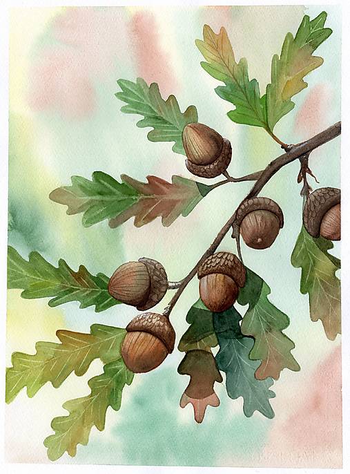 Obrazy - Art Print - Pod korunou dubu - 17974087_