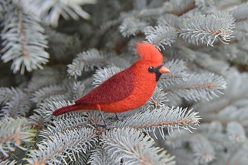 Dekorácie - Kardinál červený, skladom - 17976073_