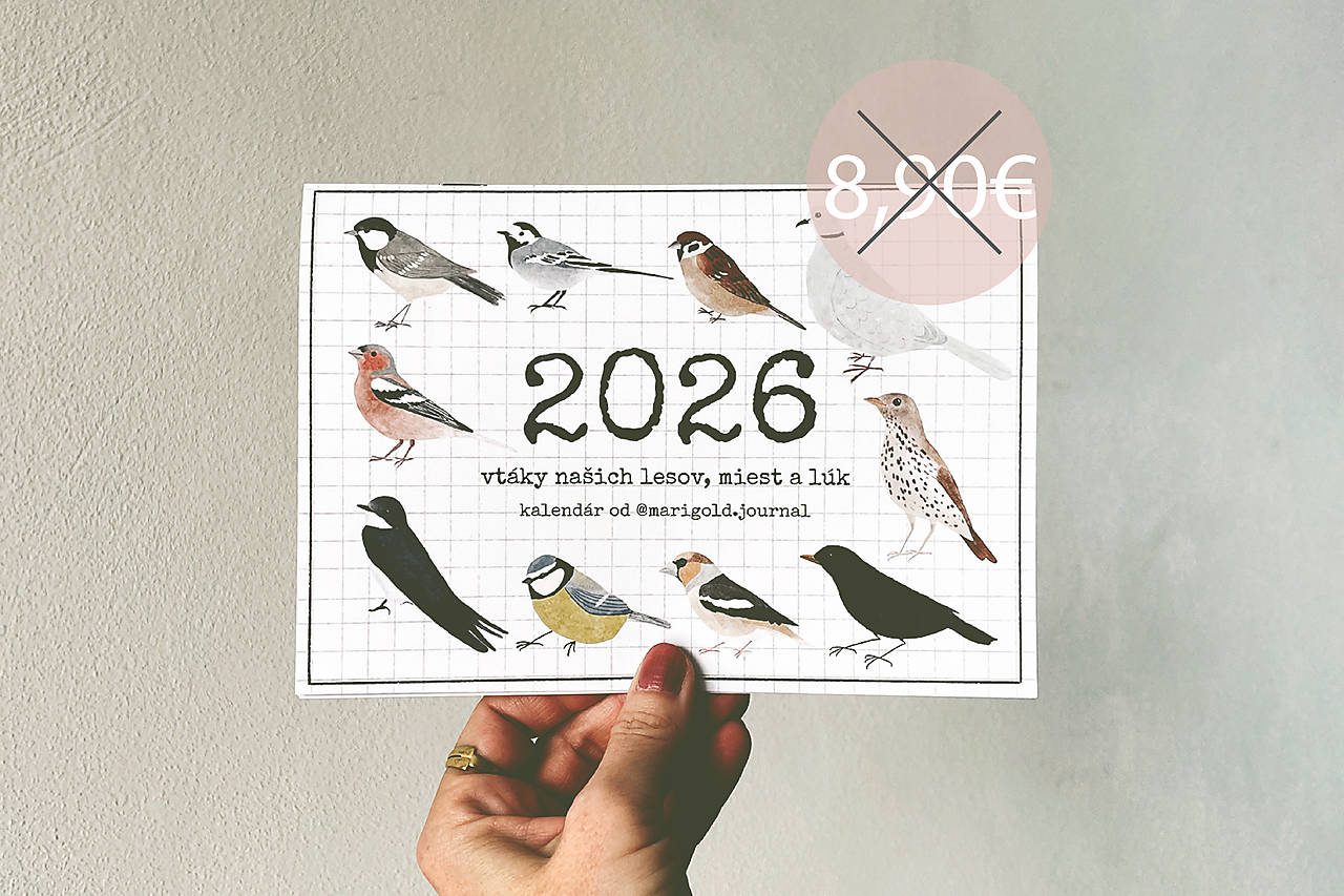 nástenný kalendár 2026 // VTÁKY