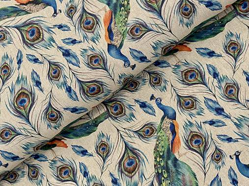 BAVLNA DEKOR TALIANSKO / PÁVI/PÁVIE PERÁ