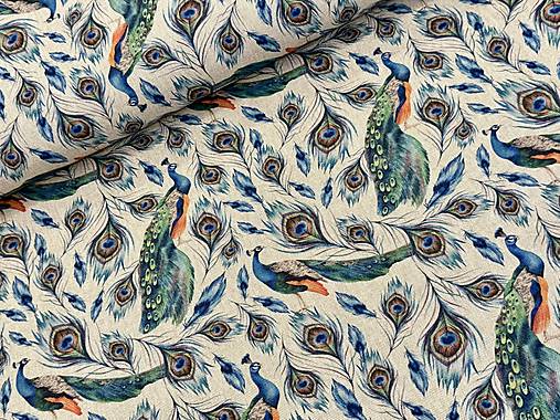 BAVLNA DEKOR TALIANSKO / PÁVI/PÁVIE PERÁ