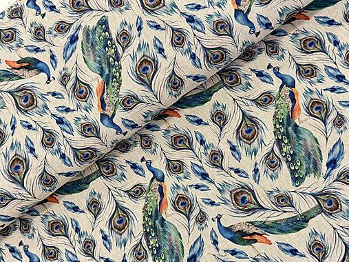 BAVLNA DEKOR TALIANSKO / PÁVI/PÁVIE PERÁ