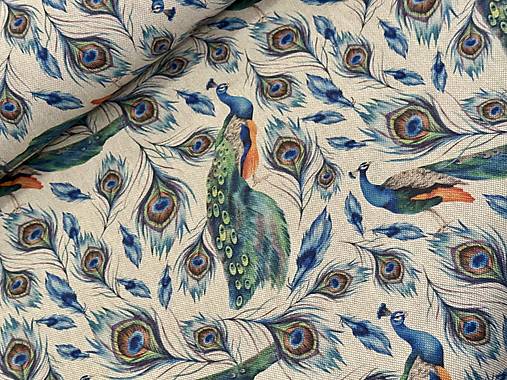 BAVLNA DEKOR TALIANSKO / PÁVI/PÁVIE PERÁ