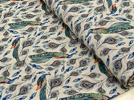 BAVLNA DEKOR TALIANSKO / PÁVI/PÁVIE PERÁ