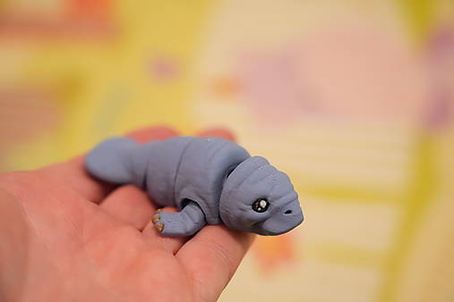 Mini manatýn – roztomilé malé morské zvieratko