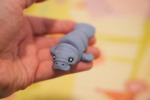 Mini manatýn – roztomilé malé morské zvieratko