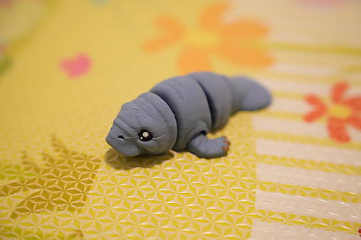 Mini manatýn – roztomilé malé morské zvieratko