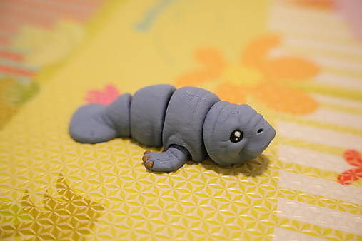 Mini manatýn – roztomilé malé morské zvieratko