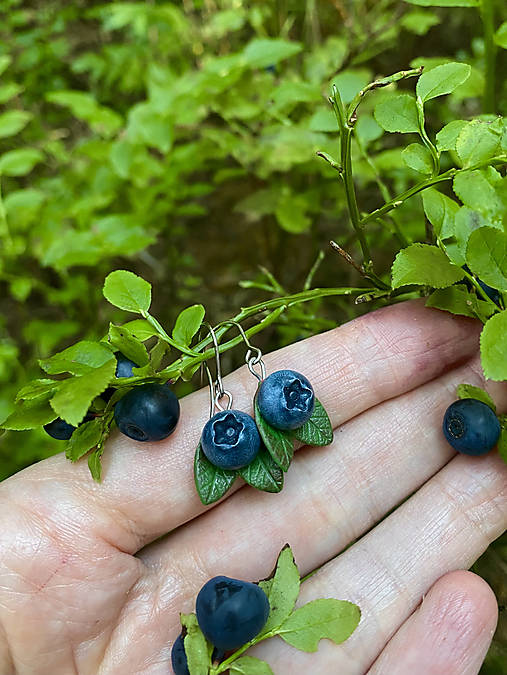 Náušnice - Blueberry - 17995769_