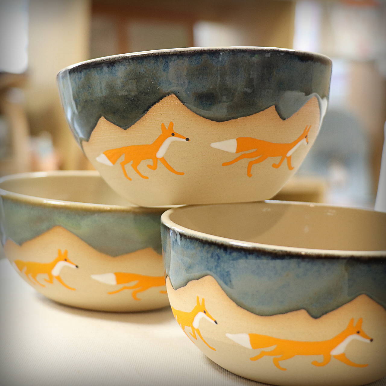 Miska Líšky 540-600 ml