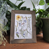 Dekorácie - Botanický obrázok  - 18020670_