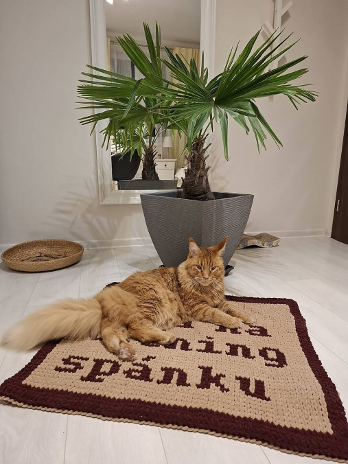 Pre zvieratá - Deka na tréning spánku - 18025694_