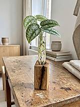  - Minimalistický zakoreňovač - dub - 18025979_