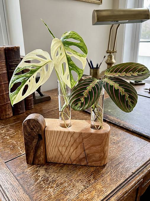 Dekorácie - Zakoreňovač Jaseň/Dub – DOUBLE - 18025749_