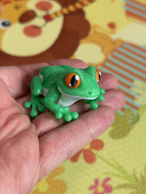 Farebná žabka – malá pralesná kráska