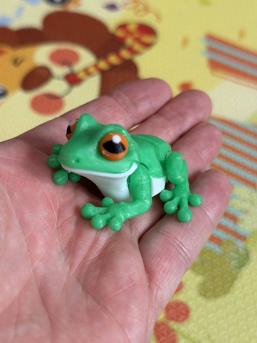 Farebná žabka – malá pralesná kráska