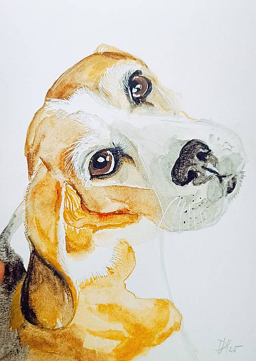 Kresby - portrét miláčika Natančeka - na objednávku  - 18027155_