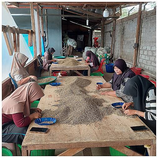 Káva Indonésie Hendra Kupas Kiss miss 250 g