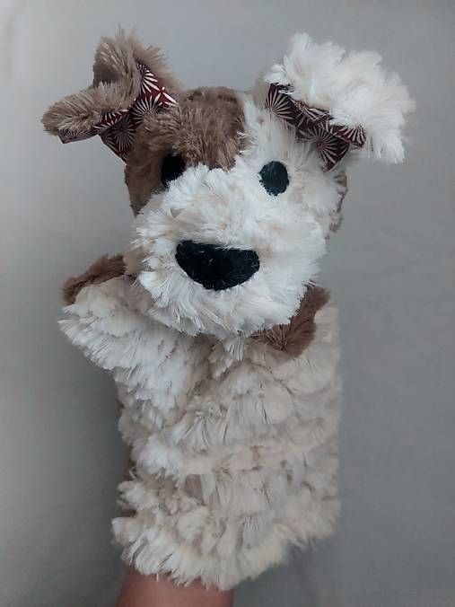 Maňuška psík chlpatý (Smotanovohnedý s hnedými uškami)