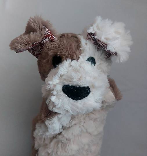 Maňuška psík chlpatý (Smotanovohnedý s hnedými uškami)