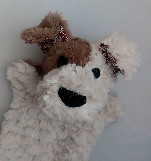 Maňuška psík chlpatý (Smotanovohnedý s hnedými uškami)