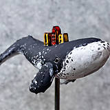 Sochy - V e ľ r y b k a - 18035307_