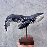 Sochy - V e ľ r y b a - 18035365_