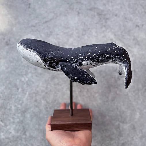 Sochy - V e ľ r y b a - 18035364_