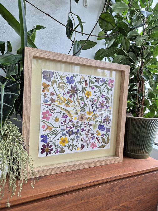 Obrazy - Kvitnem - obrázok z lisovaných rastlín - 18035134_