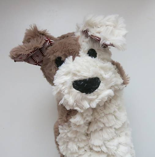 Maňuška psík chlpatý (Smotanovohnedý s hnedými uškami)