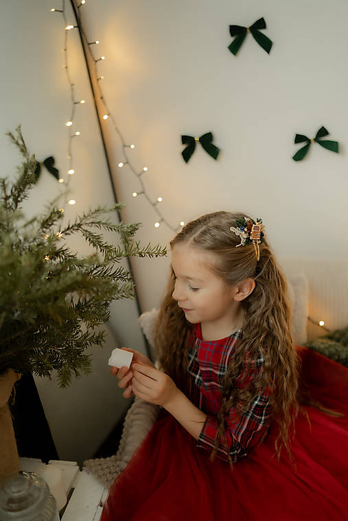 Pukačka do vlasov "vianočný domov "