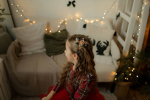 Pukačka do vlasov "vianočný domov "