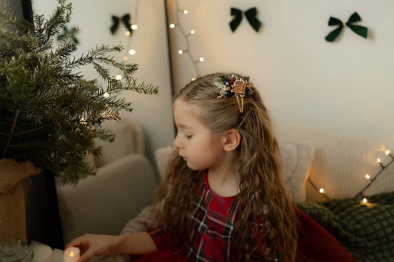 Pukačka do vlasov "vianočný domov "