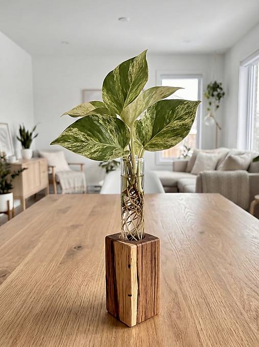 Dekorácie - Minimalistický stojan na zakoreňovanie - 18040084_