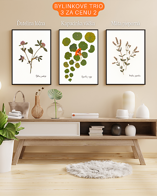 Obrazy - Bylinkové trio - 18042507_