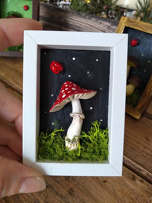 Obrazy - Obrázok Muchotrávka v bielom rámčeku - 18041898_