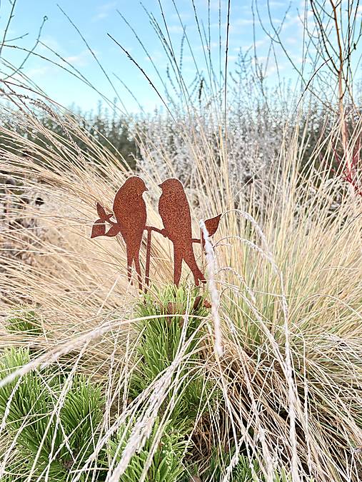 Dekorácie - Vtáčiky na záhradu- zápich - 18040551_