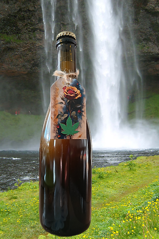 Alkoholické nápoje - Konopné BELLINI s malinami - 18057979_