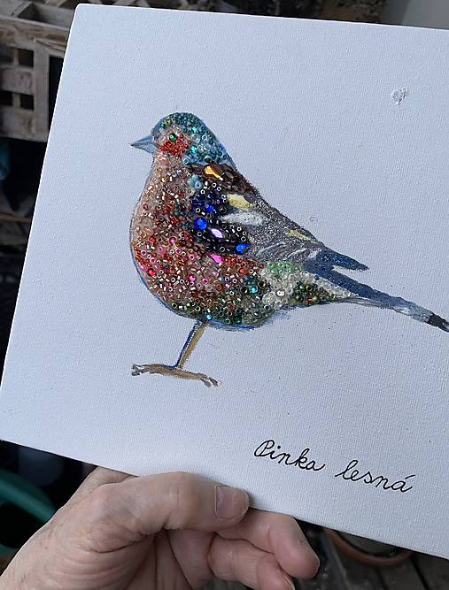 Zimná pinka jagavá