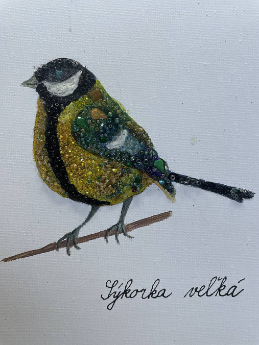 Sýkorka veľká jagavá