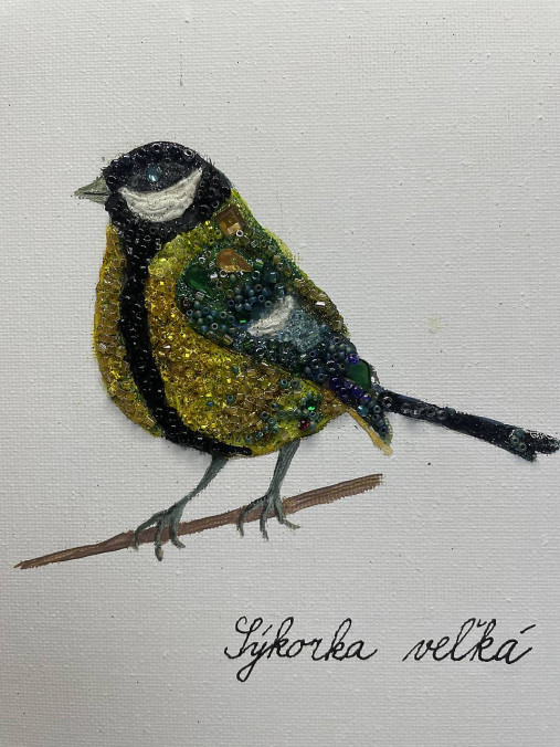 Sýkorka veľká jagavá