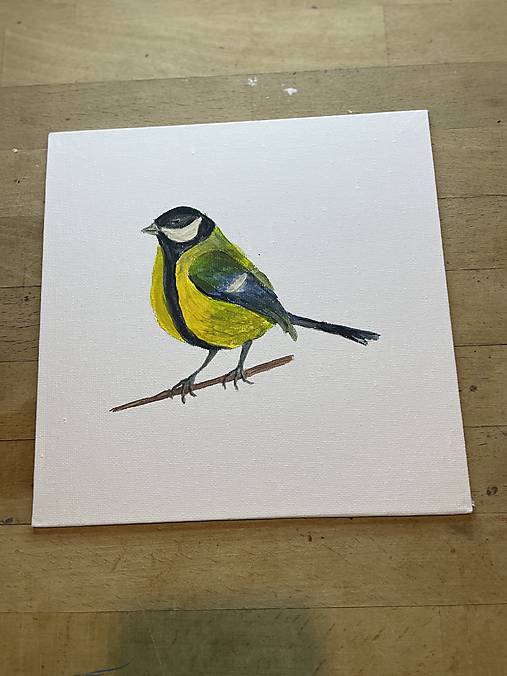 Sýkorka veľká jagavá