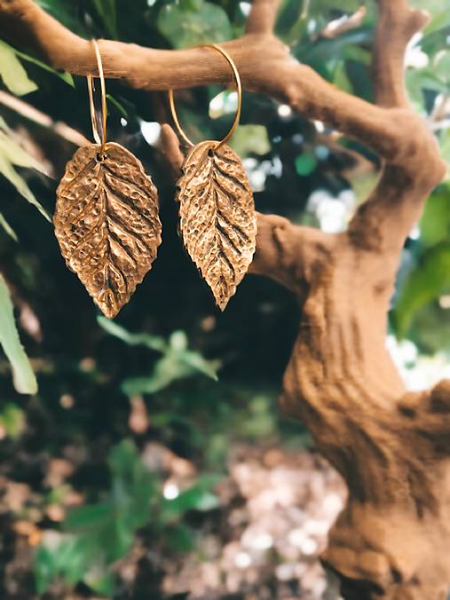 Kruhové náušnice s listami  (Kruh 15mm prívesok 25mm - Zlatá)