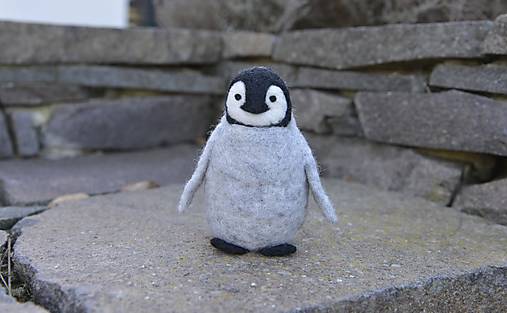 Kurzy - Kurz plstenia: Mláďa tučniaka, v Bratislave - 18066445_