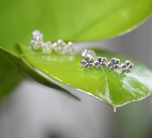 Náušnice - Strieborné náušnice kvetinky 3 - 18075979_