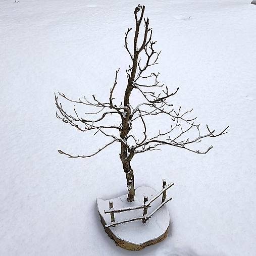 Dekorácie - Strom s plotom pod snehom - 18081119_