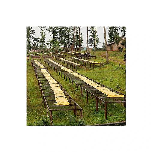 Káva Keňa Duma Fully Washed (250 g)